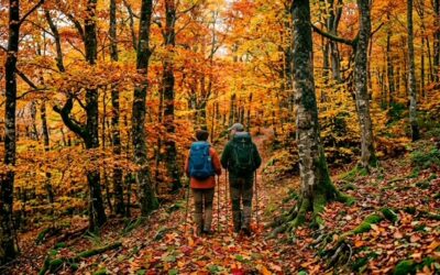 COLORES DE OTOÑO: «SENDERISMO EN EL BOSQUE FINLANDÉS Y HAYEDO DE MONTEJO»
