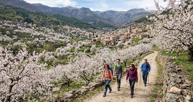 Valle del Jerte