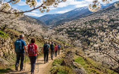 SENDERISMO VALLE DEL JERTE, EL ESPLENDOR DE LOS CEREZOS