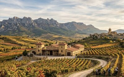 LA RIOJA, UN BRINDIS POR LA TRADICIÓN: GRANDES BODEGAS